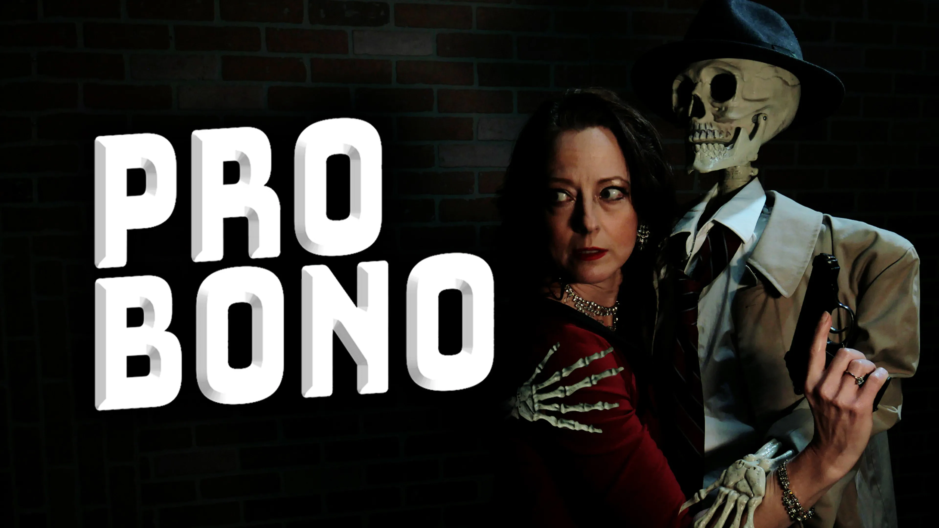 Pro Bono poster